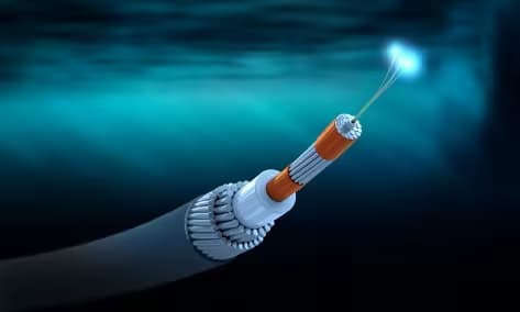 Optical Components for Submarine Cable