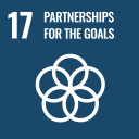 Target 17, Partnerships for the goals