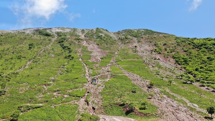 伊吹山の現在の山肌の写真。山の斜面の緑地が減少し、登山道が崩落している